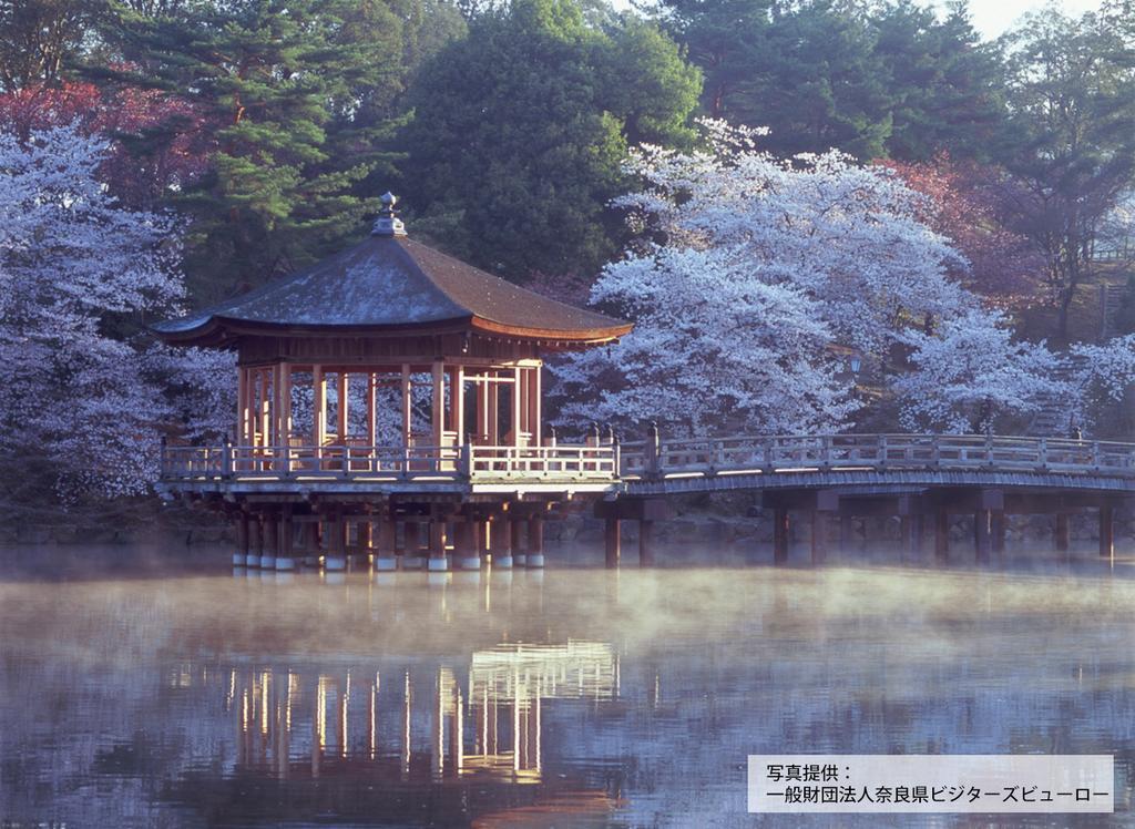 Hotel Pagoda Nara Exterior foto